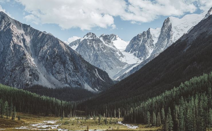 移民爱尔兰哪个中介好